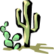 Two cacti