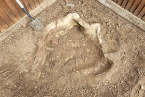 A concrete bowl in the ground