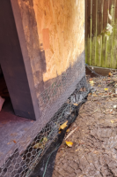 Chicken wire between bottom of shed and ground