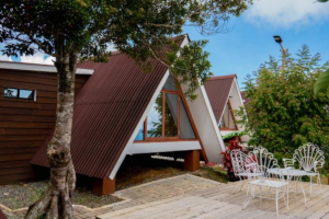 Triangular gable with Onduline